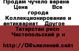 Продам чучело варана › Цена ­ 15 000 - Все города Коллекционирование и антиквариат » Другое   . Татарстан респ.,Чистопольский р-н
